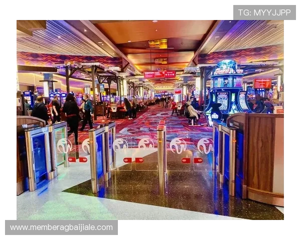 云顶集团有哪些赌场项目，详细解析每个项目的玩法规则和投注方式